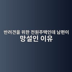 반려견을 위한 전원주택인데 남편이 망설인 이유 6 ebb098eba0a4eab2acec9d84 ec9c84ed959c eca084ec9b90eca3bced839dec9db8eb8db0 eb82a8ed8eb8ec9db4 eba79dec84a4ec9db8 ec9db4ec9ca0 1787148692