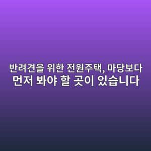 반려견을 위한 전원주택, 마당보다 먼저 봐야 할 곳이 있습니다 1 ebb098eba0a4eab2acec9d84 ec9c84ed959c eca084ec9b90eca3bced839d eba788eb8bb9ebb3b4eb8ba4 eba8bceca080 ebb490ec95bc ed95a0 eab3b3ec9db4 1790084632